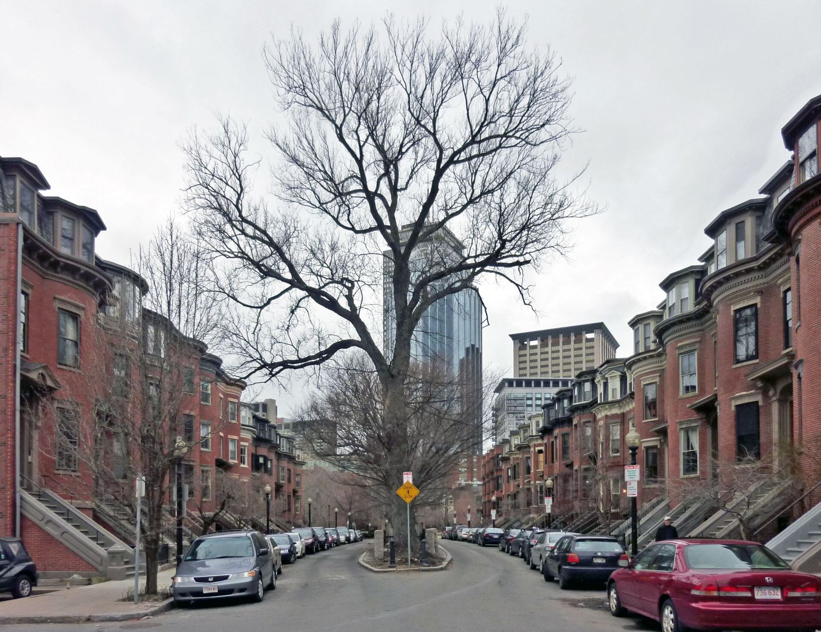 Tree-lined residential street in Boston's South End